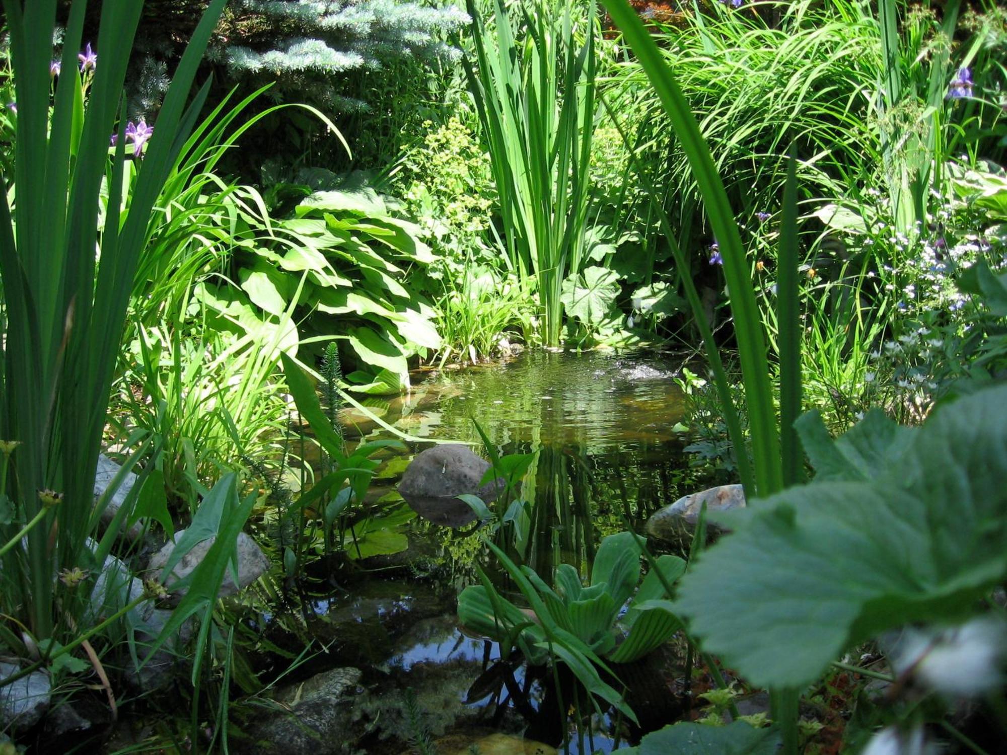 Naturkraeuterhaus Eder Iselsberg Extérieur photo