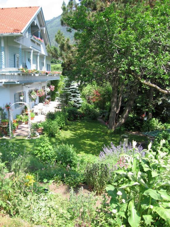 Naturkraeuterhaus Eder Iselsberg Extérieur photo